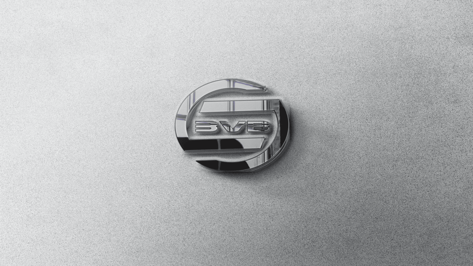 Logo Design Project